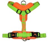 Arnes x-trm cronos neon flash verde 20mm x 46-75cm
