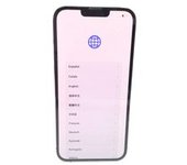 APPLE IPHONE 13 PRO MAX 256GB