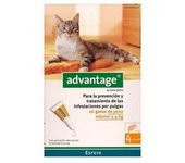Ecuphar Advantage 40 Gato 1-4 Kg 4 Pipetas.