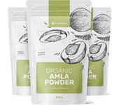 FutuNatura 3x Amla BIO en polvo, en total 600 g